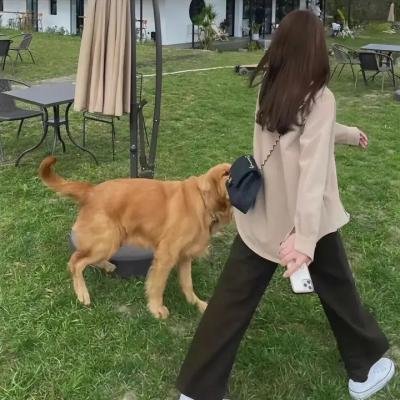 狼群之中
